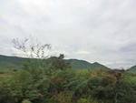 55883CIMG6573.JPG
