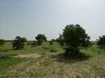 19117P1000962.JPG
