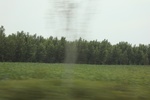 2024-08-05_16-08-52_946D01F7-AEA5-4267-A284-ABCE122BEFD8.jpeg