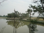 21884DSC08478.JPG