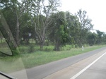 26676IMG_2979.JPG