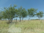 35009DSC01911.JPG