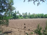 1780024042008(57).JPG
