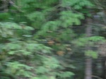48286CIMG4623.JPG