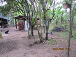 31834IMG_5314.JPG