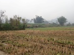 2024-11-29_05-41-48_PC200056.JPG