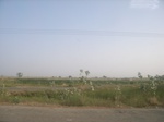 9129RIMG0209.JPG