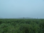 38184P1080110.JPG
