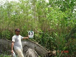 6253043c-irrigated-supplemental-minor-groundwater-coconut-dominant-doublecrops.jpg