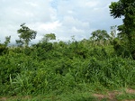 18322P1000158.JPG