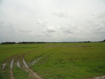 22021DSC00134.JPG
