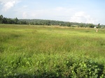 15961IMG_4512.JPG