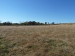 26150P1060835.JPG