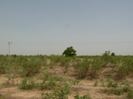 19072P1000917.JPG