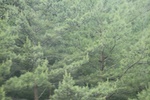 2024-08-05_13-55-16_206E3A31-A1D5-4554-9B3D-0B6835A21767.jpeg