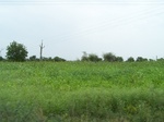 1688702052008(46).JPG