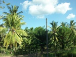 5781100_1378.JPG