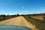 28452P1010463-1.JPG