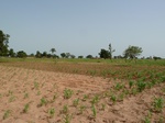 18950P1000794.JPG