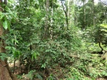 47173CIMG3510.JPG