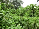 45037CIMG2122.JPG