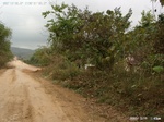 40510Anh5573.jpg