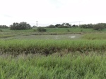 24873DSC01087.JPG