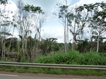 25589P1020003.JPG