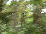 48709CIMG5046.JPG