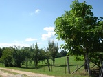 32526p182.jpg
