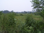 862R0015392.jpg