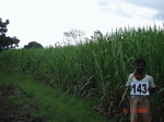 68960143c-irrigated-supplemental-groundwater-sugarcane.jpg