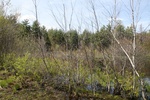 295IMG_4191.JPG
