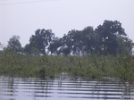 659R0015167.jpg