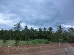 55802CIMG6421.JPG