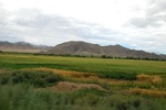 27429DSC_7075.JPG