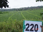 71280220a-rainfed-agriculture-soyabean-dominant-gram.jpg