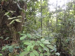 46703DSC02037.JPG