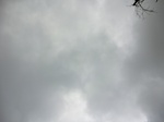 45572CIMG2657.JPG