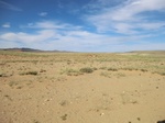 37103CIMG0900.JPG