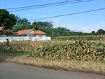 31423CIMG1287.JPG