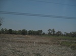 28132IMG_4951.JPG