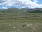 24289P1050794.JPG