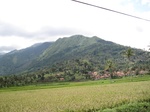 14785IMG_5178.JPG