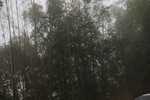 2024-11-21_16-34-28_4723985C-E9E2-4AB4-B906-C58A40DF6797.jpeg
