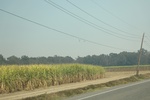2022-11-17_21-54-59_590AD16D-E493-43B4-8C76-1B5102D7F689.jpeg