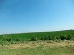 55273CIMG1326.JPG