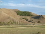 23249P1020807.JPG