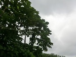 45534CIMG2619.JPG