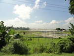 26078DSC00954.JPG